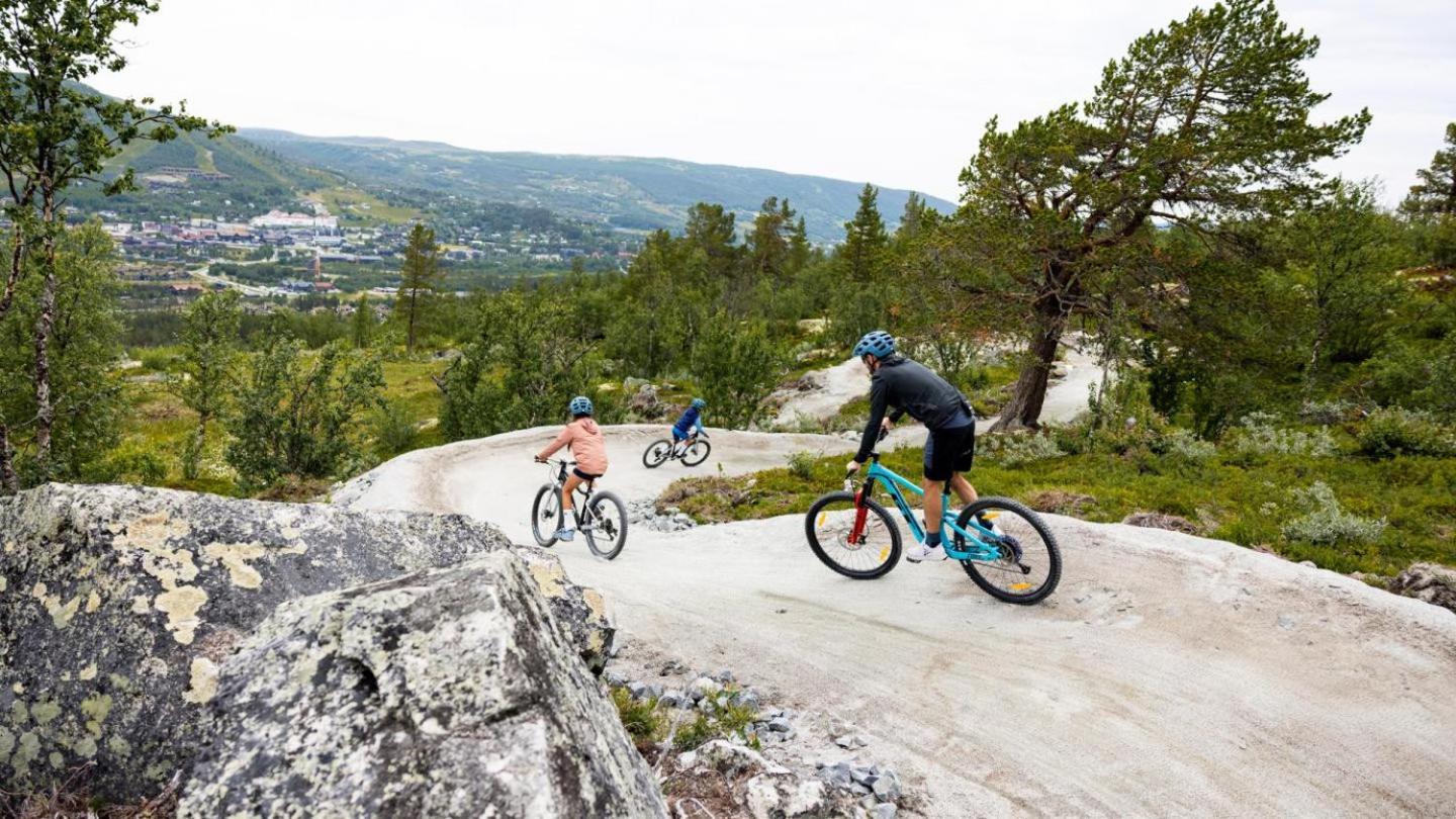 Koselig Hytte Med Usjenert Og Solrik Beliggenhet Geilo Buitenkant foto
