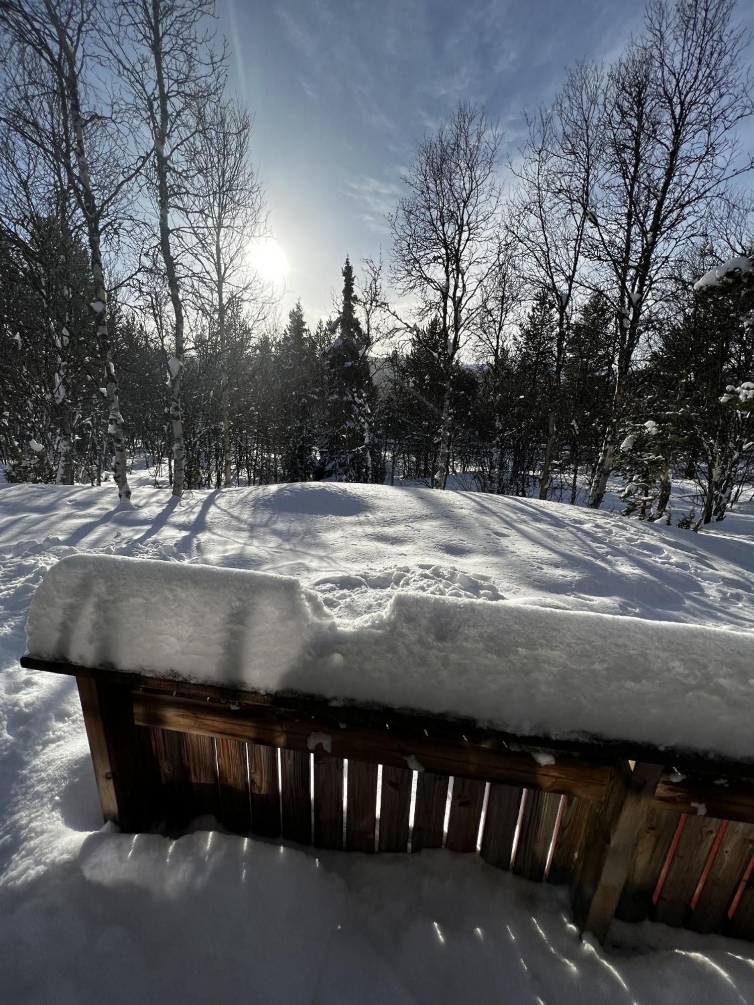 Koselig Hytte Med Usjenert Og Solrik Beliggenhet Geilo Buitenkant foto