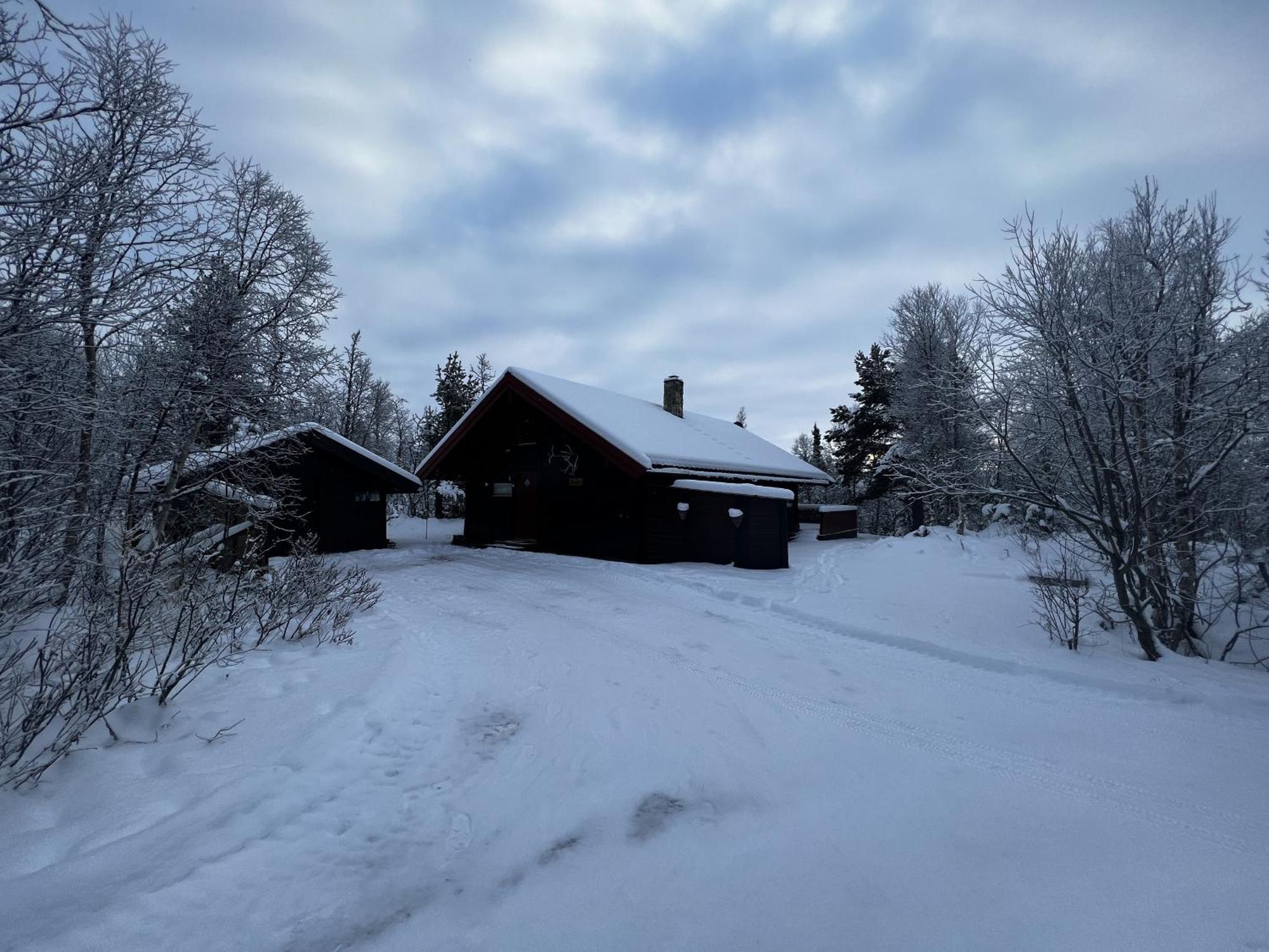 Koselig Hytte Med Usjenert Og Solrik Beliggenhet Geilo Buitenkant foto