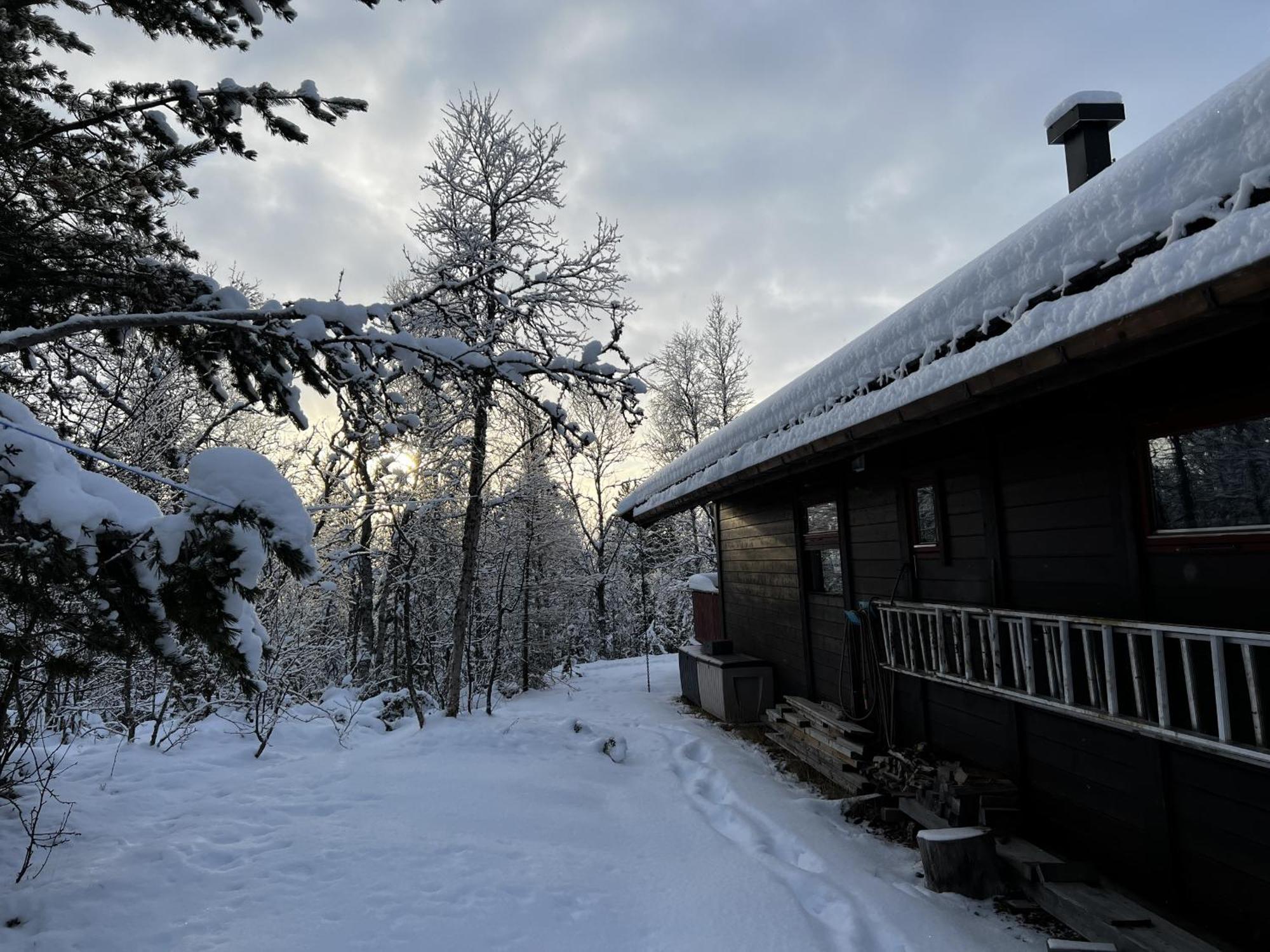 Koselig Hytte Med Usjenert Og Solrik Beliggenhet Geilo Buitenkant foto
